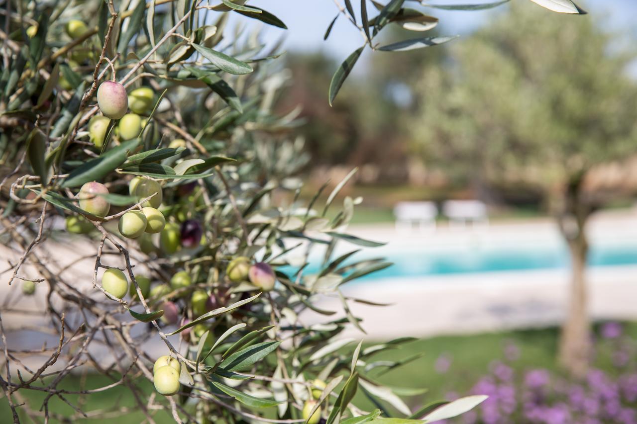 Masseria Saietti Ruffano Extérieur photo